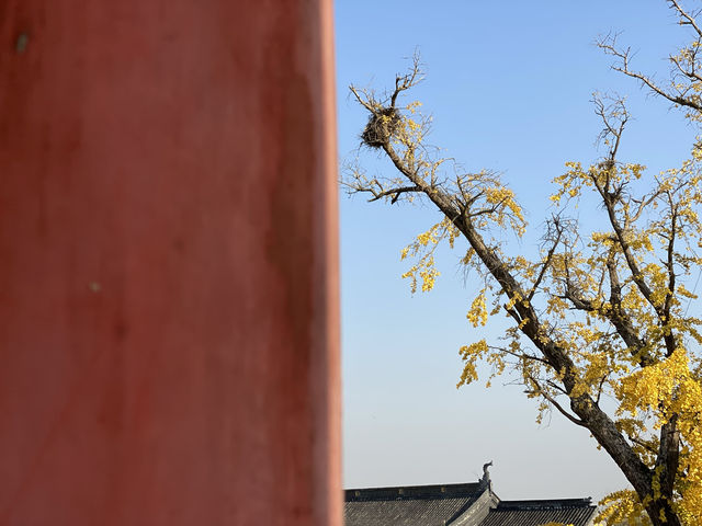 報國寺。