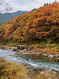 東京｜青梅御岳溪谷 關東紅葉秘境。