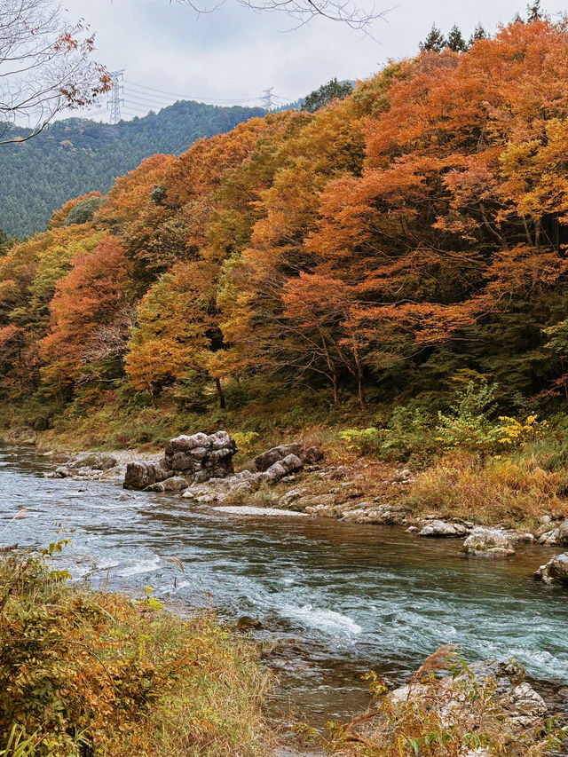 東京｜青梅御岳溪谷 關東紅葉秘境。