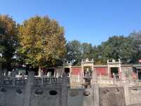 西安碑林博物館｜書法愛好者的終極朝聖地。