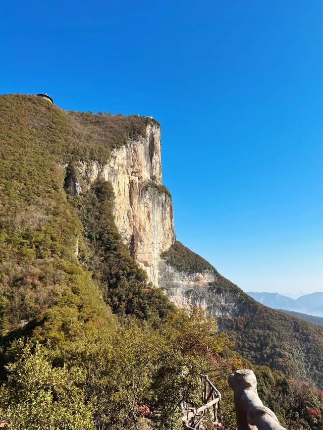 三峽之巔2小時徒步全攻略！停車指南2小時深度體驗。
