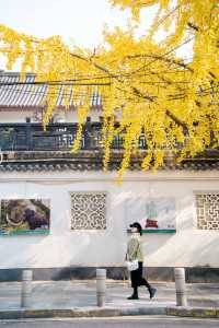 2025年來武漢第一站本地人帶你逛歸元寺