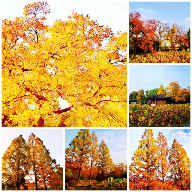 ไปเยือนทะเลสาบโม่โฉว