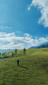 據說這裡的高山草甸獨屬海南·同款阿勒泰天花板