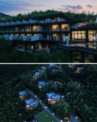 湖州·慧心谷承包整片茶山的全景別墅酒店