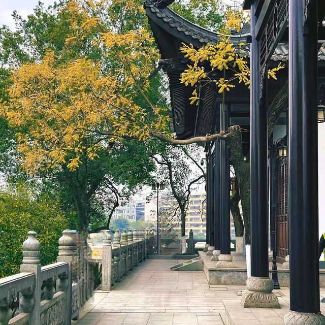✨石鼓書院探秘：穿越千年的文化之旅📚🌳