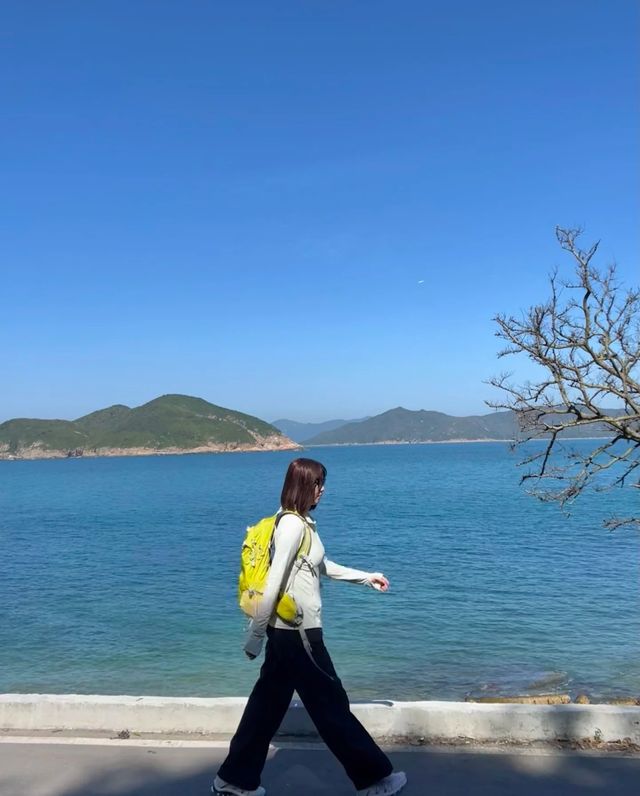 龍蝦灣海岸環線  好像看到了海豚