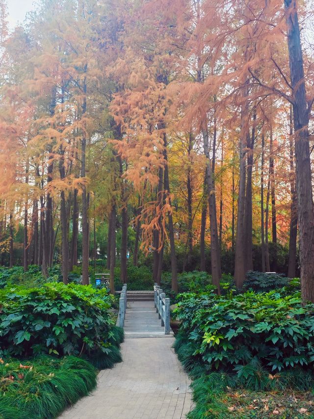 上海的莫奈花園