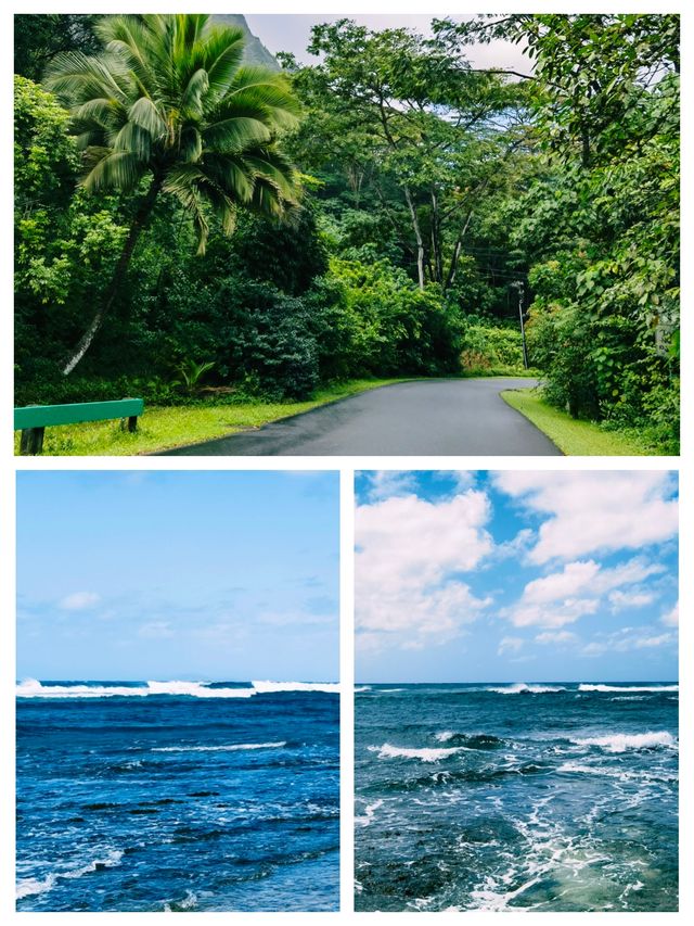 夏威夷可愛島，風景絕美的度假勝地
