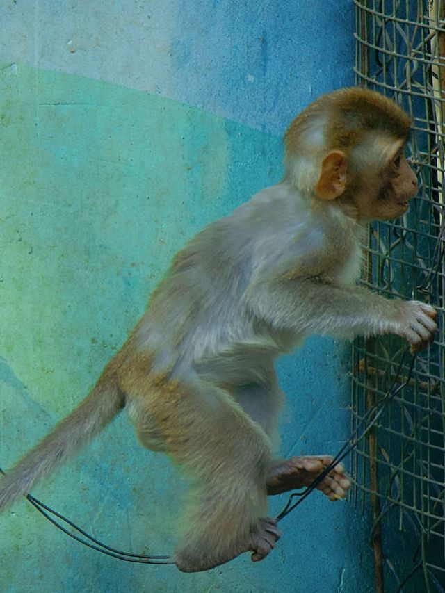 冬季反向目的地特色旅行好去處（附動物樂園攻略）