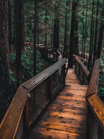 Discover the Capilano Suspension Bridge in Vancouver