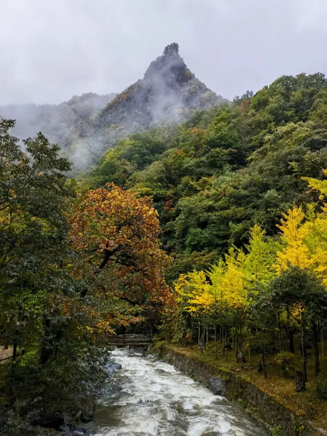 Shennongjia-Yichang Skiing Extravaganza - Don't Miss Out!