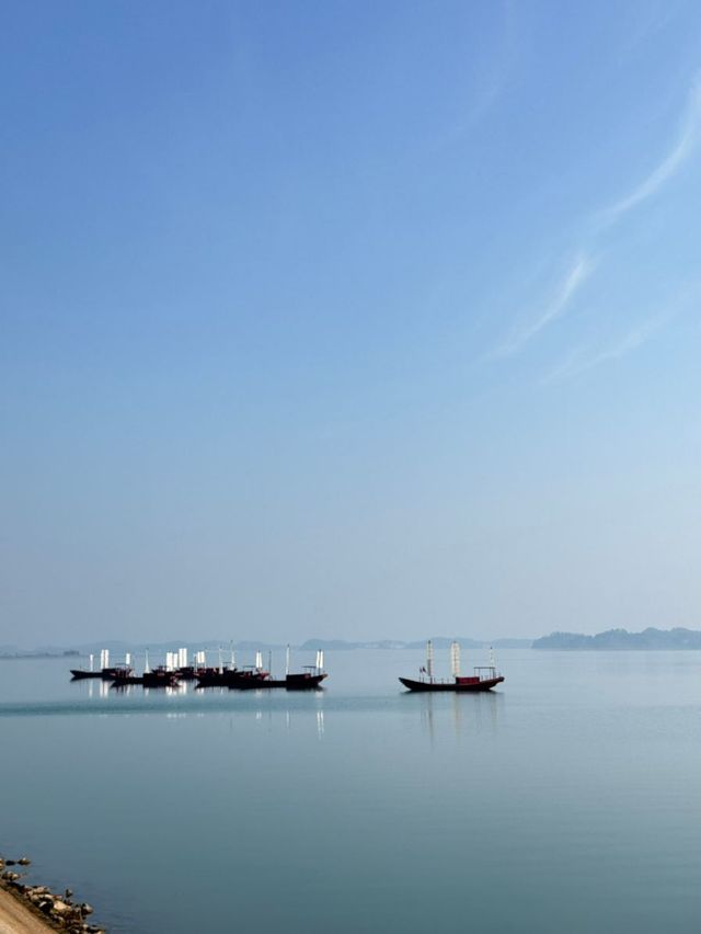 上饶·鄱陽湖：水韻天成，自然之美