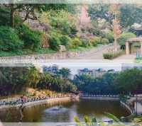 【時光隨筆·歲月漫旅】2025年1月5日（週日）重慶石門公園