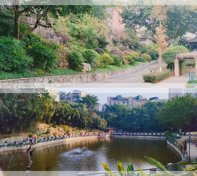【時光隨筆·歲月漫旅】2025年1月5日（週日）重慶石門公園