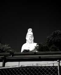 久留米的莊嚴守護者：成田山明王寺與救世慈母大觀音像