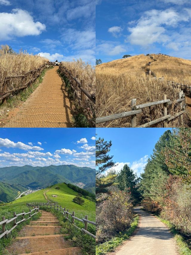 邂逅禮山郡，解鎖韓國小眾秘境