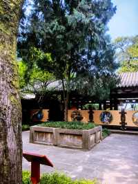 非常值得一看的，四川綿陽七曲山大廟