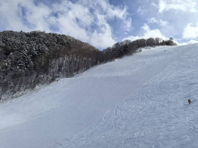 Explore the Dynamic Skiing Experience at Shiga Kogen Ski Resort in Nagano