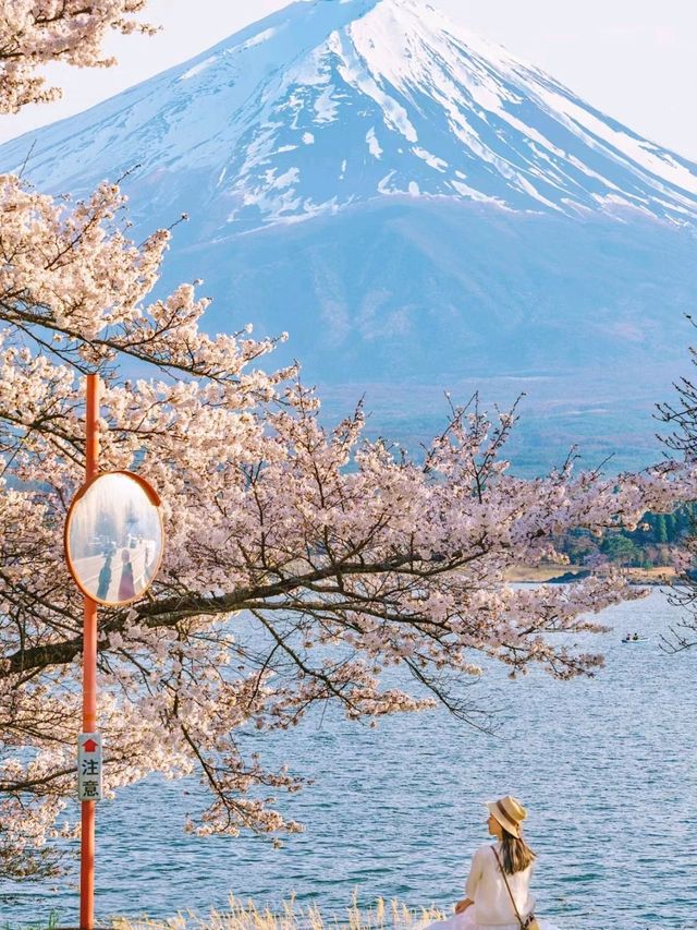 Very Satisfactory place to go - Mount Fuji❤️❤️