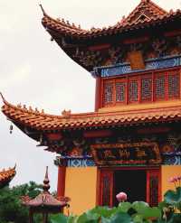 長沙小眾寶藏寺廟清竹禪寺遊玩攻略