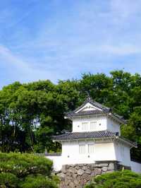 大分縣四天三晚探險指南 
