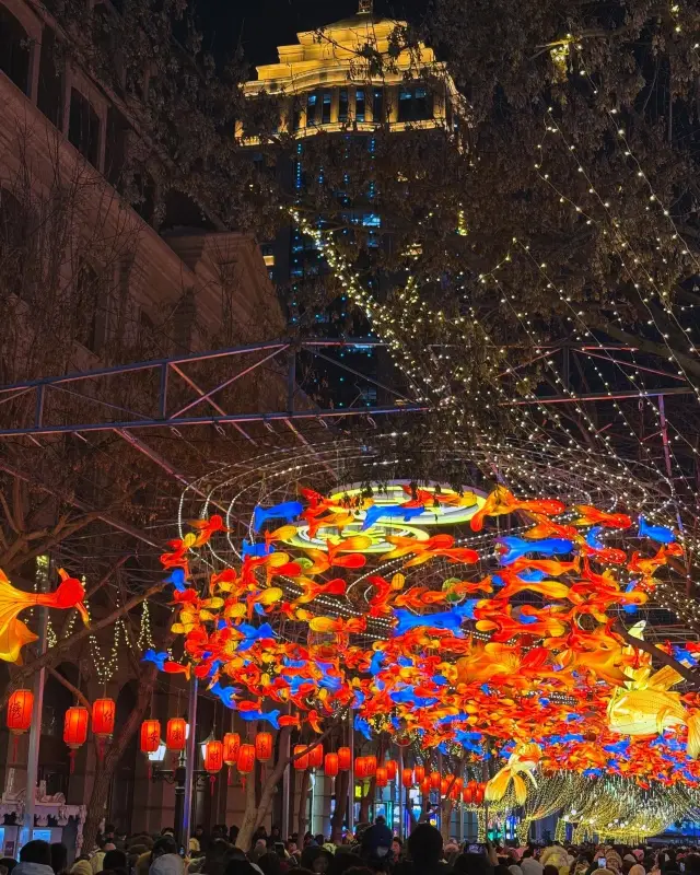 Stroll along Zhongyang Street and unlock the charm of Harbin