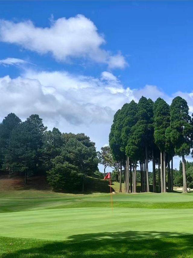 日本老年遊寶典溫泉樂活體驗必備指南