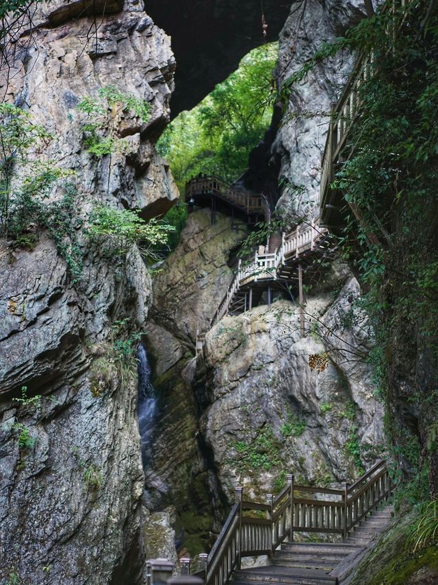 神農架-宜昌-岳陽｜真溫泉之旅 身心都得到大放鬆