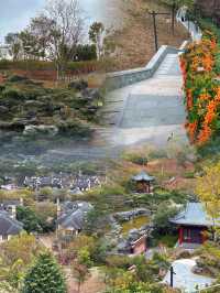 被我挖到！深圳呢處神仙公園靚到爆