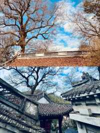 穿越千年佛國，探尋新昌大佛寺的秘境之旅