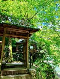 京都虹夕諾雅｜靜謐度假體驗