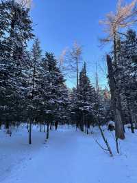 哈爾濱-雪鄉-長白山7日滑雪之旅超詳細攻略