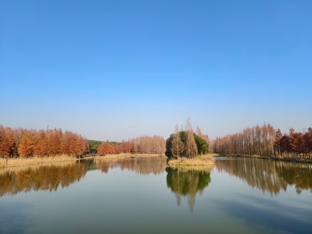 青西郊野公園絕對是任何季節都值得去的地方！