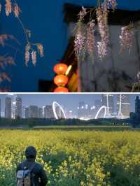 鏡頭下的春和景明｜南京的春天宛如仙境