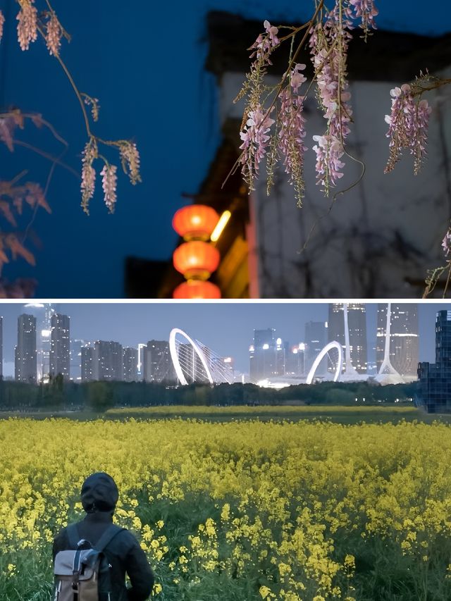 鏡頭下的春和景明｜南京的春天宛如仙境