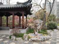 真如公園梅花景