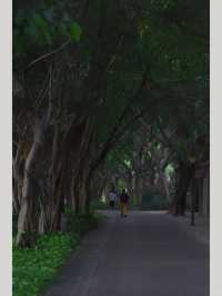 廈門寶藏公園竟然還有人不知道！