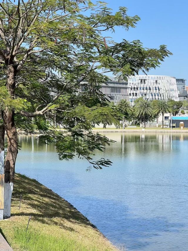 廣佛出遊攻略 | 錯峰旅遊真的太爽了