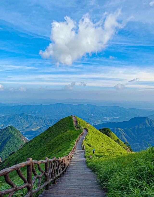 Explore the Beauty of Wugong Mountain in Jiangxi