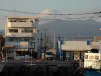 昭和感深海沼津港灣一日遊 新鮮海鮮滿喫！#東京近郊