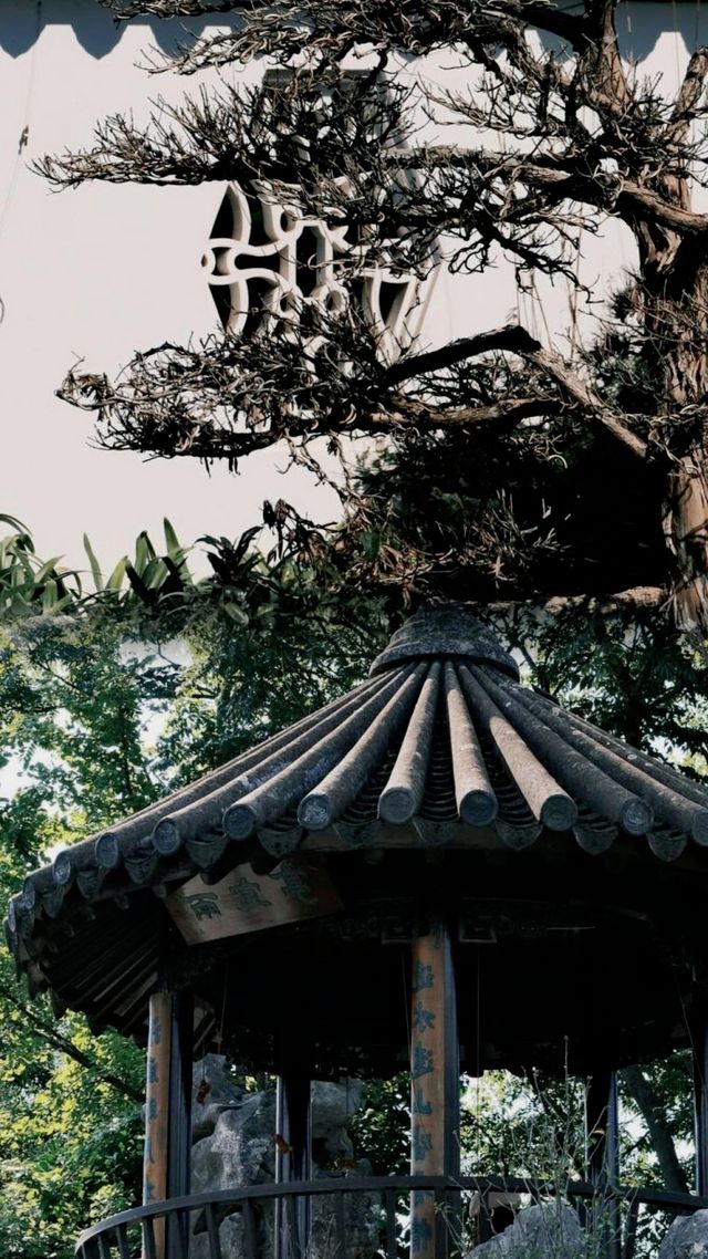 昆明園林|「你一句春不晚，我就到了真江F