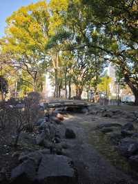 東京早春萬勿錯過：芝公園古梅正當時