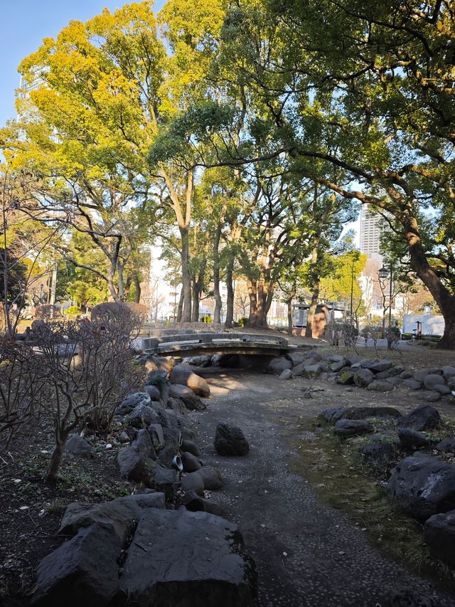 東京早春萬勿錯過：芝公園古梅正當時