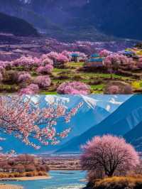 林芝受罪已回，要去的姊妹慎重。