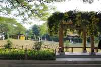 漳州中山公園旅遊攻略