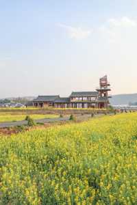 建水三月,去雙龍橋睇油菜花海