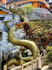 在廣東！不用花錢可以住三天的精神避難所