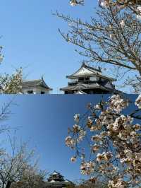 松山寶藏旅遊攻略，一篇就夠！