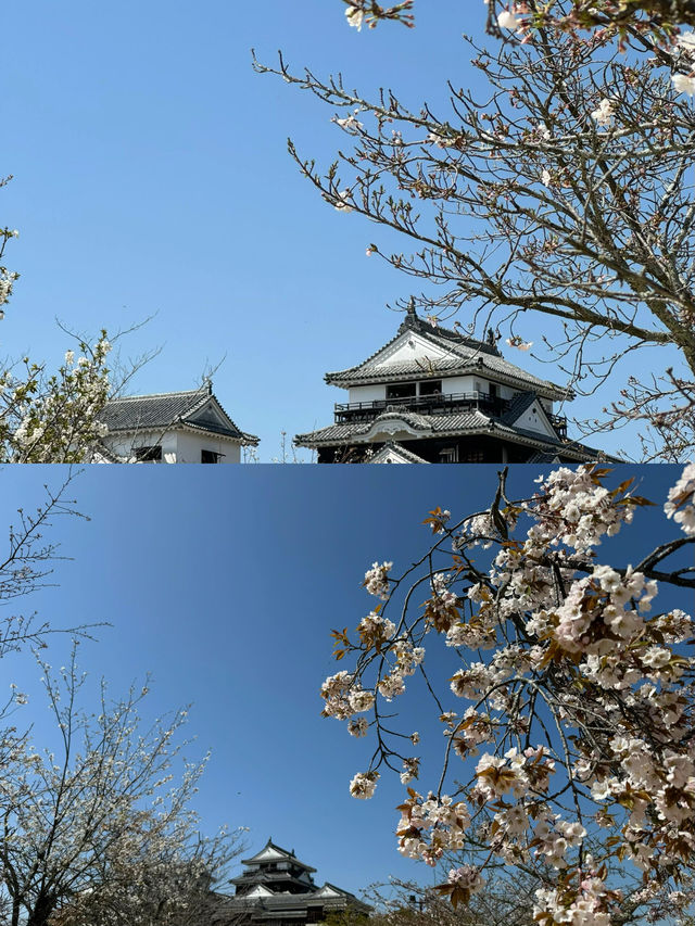 松山寶藏旅遊攻略，一篇就夠！